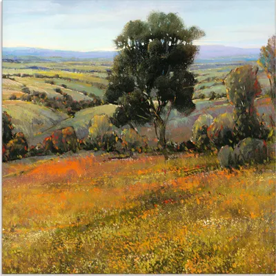 Produktbild von ARTland Glasbild Feld im Sommer Größe: 30x30 cm