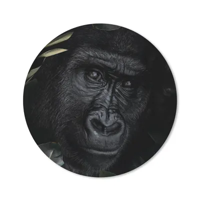 Produktbild von MuchoWow® Mauspad Mousepad Affe - Tiere - Blätter - Botanisch 20x20 cm - Mousepads - Maus Mat - Pad - Mausunterlage - Schreibtischmatte