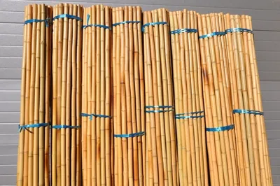 Obrázek produktu pro Bambusová tyč 3- 4 cm, délka 2 metry
