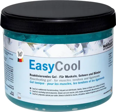 Produktbild von Waldhausen Kühlgel Easy-Cool 500 ml