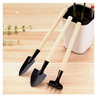 Produktbild von 3-teiliges Gartenwerkzeug-Set mit Holzgriffen für Zimmerpflanzen