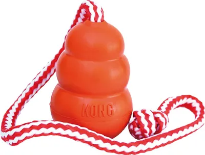 Immagine prodotto di Kong Aqua Arancione