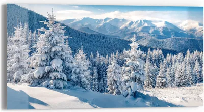 Produktbild von DEQORI Glasbild Echtglas 60x30 cm 'Karpatenwinter' Wandbild Bild modern Deko