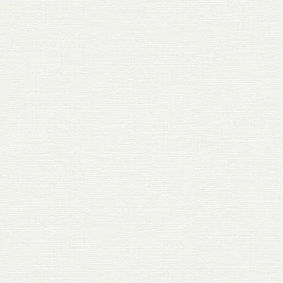Produktbild von A.S. Creation | Premium Wall 2 | 389721 | Vliestapete | Einfarbig | 10.05 x 0.53 m | Weiß | Wohnzimmer | Flur | Büro | Küche | Wohnräume
