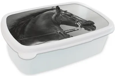 Produktbild von KitchenYeah® Lunchbox Brotzeit Brotdose 17x11 cm Pferde - Schwarz - Porträt - Tiere Kinder Brotzeitdose - Lunch Box - Kinder - Sandwich-Box - Schulbox - Lunch Boxen