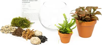 Obrázek produktu pro Gardners Skleněná váza boule OSÁZEJ SI SÁM vlhkomilně, M