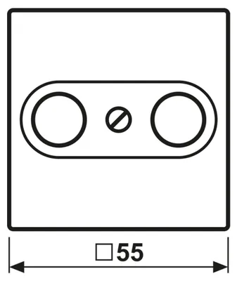 Image de Jung Cache pour prise d'antenne A561BFPLTVSWM (A561BFPLTVSWM)