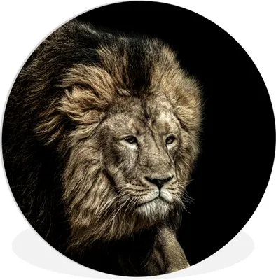 Produktbild von MuchoWow® Rundes Wandbild - Runde Bilder Löwe - Tiere - Schwarz Ø 60 cm Kreis Wanddekoration Kunststoff - Wandkreis - Wandschmuck - Wand Kreis - Das Schlafzimmer - Die Bilder - Wandmalerei - Kunst für das Haus - das Plastik