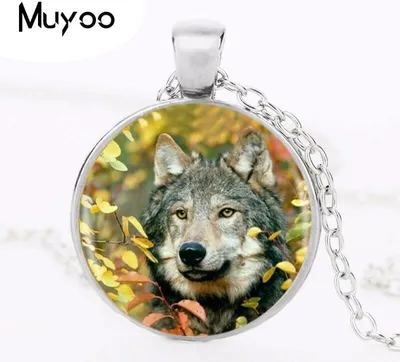 Produktbild von Wolf Anhänger Halskette Brosche Wappen & Kette Silber Cabochon Medaillon
