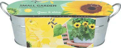 Produktbild von Anzuchtset Sonnenblume mit Zinkwanne | Anzuchtsets von Buzzy Gifts