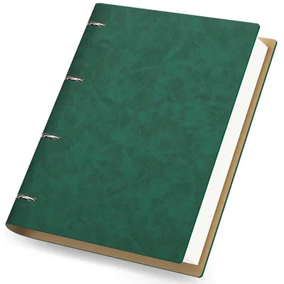 Immagine prodotto di Quaderno A4 in ecopelle verde, righe, 150 fogli, 100 GSM, ricaricabile, con anelli