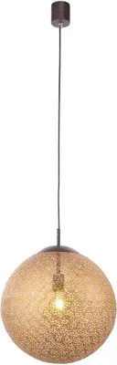 A pendant light fixture against a white background.