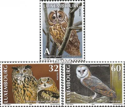 Produktbild von Briefmarken Luxemburg 1999 Mi 1466-1468 (kompl.Ausg.) postfrisch Eulen