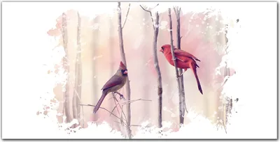 Produktbild von Coloray Bild aus Acryl 140 cm x 70 cm - Wanddekoration Küche Bild auf Acrylglas Dekoration Wohnzimmer Gehärtetes Acryl - Tiere Vögel