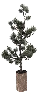 Immagine prodotto di Mini albero di Natale artificiale Clayre & Eef 23x23x60 cm / 3xAAA legno verde