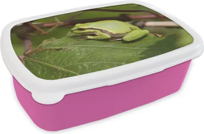 Produktbild von KitchenYeah® Lunchbox Brotzeit Brotdose 17x11 cm Frosch - Reptilien - Dschungel Kinder Brotzeitdose - Lunchpaket - Brotkasten  - Sandwich Box