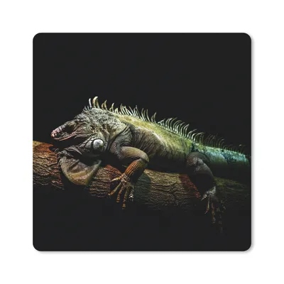 Produktbild von MuchoWow® Mauspad Mousepad Tier - Zweig - Schwarz 20x20 cm - Mousepads - Maus Mat - Pad - Mausunterlage - Desk Mat - Bureauartikeln