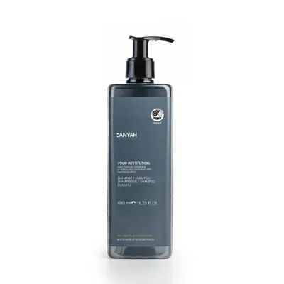 Image de Shampooing ANYAH 480 ml - Hydratation, vegan, pour cheveux secs, Ecolabel - Non rechargeable