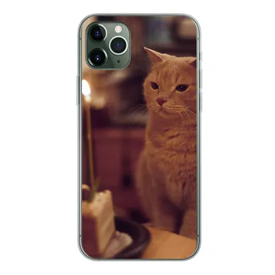 Produktbild von MuchoWow® Handyhülle Schutzhülle Hülle für iPhone 11 Pro Max Katze - Geburtstag - Kerze Silikon Softcase Handy Hülle - Schutz