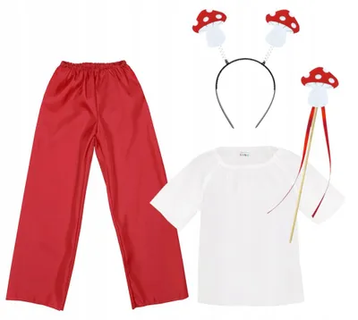 Produktbild von Kinderkostüm Fliegenpilz mit Bluse, Hose und Stirnband