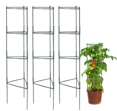 Image de Lot de 3 supports pour tomates - Supports réglables pour plantes grimpantes