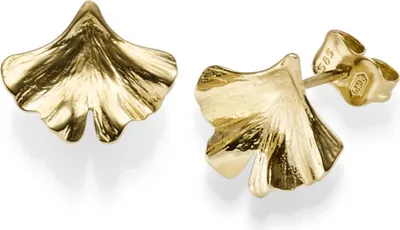 Ohrstecker-Ginkoblatt-585-Gelbgold