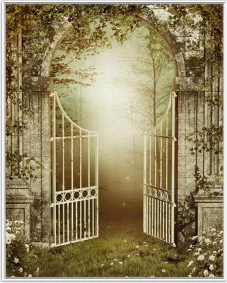 Produktbild von Wallario Wandbild Tor in den Wald, Größe: 40,30 x 50,30 cm, Poster mit weißem Aluminiumrahmen