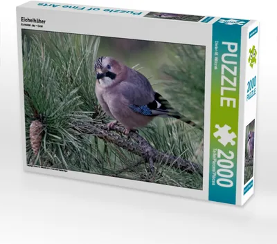 Produktbild von CALVENDO Puzzle Eichelhäher 2000 Teile Puzzle quer | 2000 Teile Lege-Größe 90x67cm Foto-Puzzle für glückliche Stunden