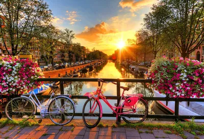 Image de WOODEN CITY Puzzle en bois Roues à Amsterdam 2in1, 300 pièces ECO