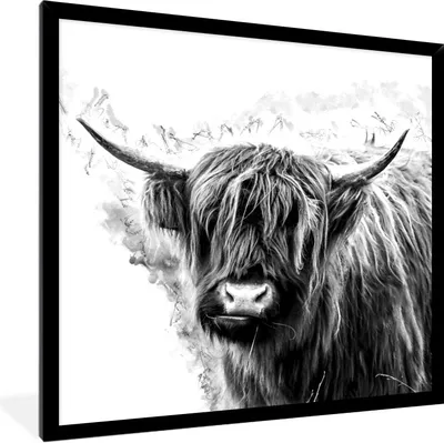 Produktbild von MuchoWow® Gerahmtes Poster Schottischer Highlander - Kuh - Weiß 40x40 cm - Poster mit Schwarzem Bilderrahmen Wandposter Rahmen Foto Bilder - Mit Rahmen - Wanddekoration Schlafzimmer
