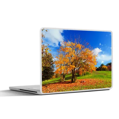 Produktbild von MuchoWow® Laptop Aufkleber Sticker Cover Baum - Blätter - Herbst - Jahreszeiten 31x22.5 cm - Laptop-Deko