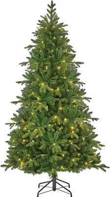 Produktbild von Black Box Trees Brampton - Weihnachtsdeko mit 240 LED-Lichtern - Weihnachtsbaum Schlank mit Klappmechanismus - Kunstbaum für Wohnzimmer und Büro - H215 x Ø125 cm - Grün