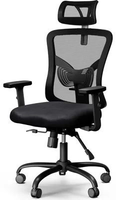 Image de Chaise de bureau ergonomique en mesh avec support lombaire