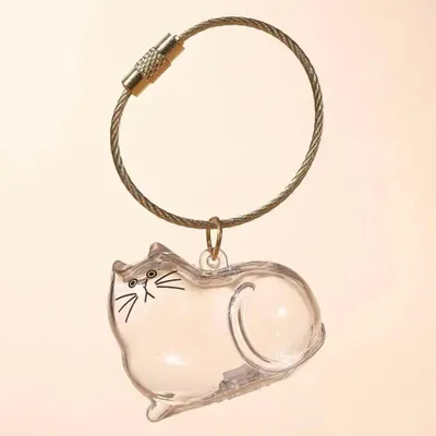 Produktbild von INF Transparente Katzenhaar-Aufbewahrungsbox – Acryl, 4x4x3cm, 1 Stück