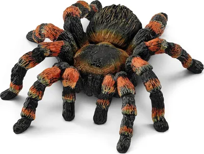 Produktbild von SLH14829 Schleich Wild Life - Vogelspinne, Spielfigur für Kinder ab 3 Jahren