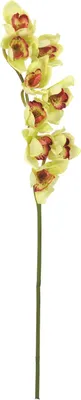 Image de EUROPALMS Branche de cymbidium, artificielle, verte, 90cm (82530313)