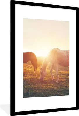 Produktbild von MuchoWow® Gerahmtes Poster Pferde - Sonne - Tiere 60x90 cm - Poster mit Schwarzem Bilderrahmen Wandposter Rahmen Foto Bilder - Dekoration - Wandposter Wohnzimmer - Hochwertig