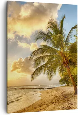 Produktbild von Bild auf Leinwand - Leinwandbild - Einteilig - Strand Meer Palme - 50x70cm - Wand Bild - Wanddeko - Wandbilder - Leinwanddruck - Kunstdruck - Wanddekoration - Leinwand bilder - Wandbild - PA50x70-3606