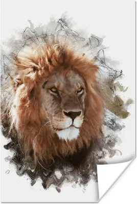 Produktbild von MuchoWow® Poster Löwe - Farbe - Farben 40x60 cm - Plakate für die Wand - Poster Babyzimmer