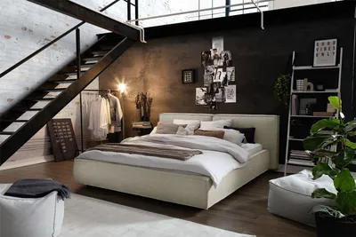 Produktbild von KAWOLA Bett CARLO Polsterbett Stoff taupe 160x200cm