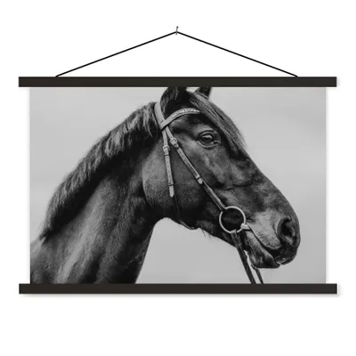 Produktbild von MuchoWow® Textilposter Pferd - Halfter - Porträt 90x60 cm mit schwarzem Rahmen - Aufhängungssatz