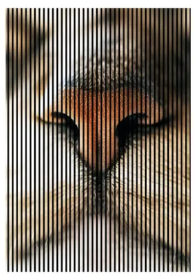 Produktbild von Akustikpaneel digital bedruckt Cat 1 2400 x 1693 x 19 mm Set = 3 Einzelpaneele