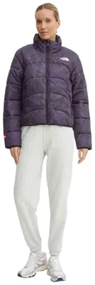 Image de Manteau The North Face tnf 2000 pour Femme