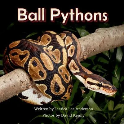 Obrázek produktu pro Ball Pythons
