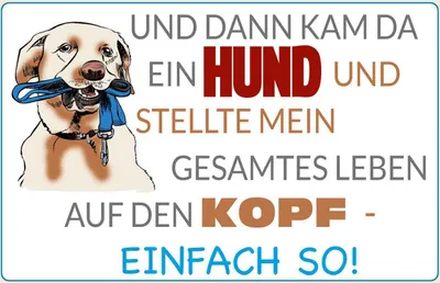 Produktbild von vianmo Holzschild 12x18 cm und dann kam da ein Hund Tier Haustier