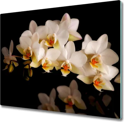 Produktbild von Glas Herdabdeckplatte 60x52 cm Spritzschutz Glasabdeckplatte Schneidebrett Orchidee