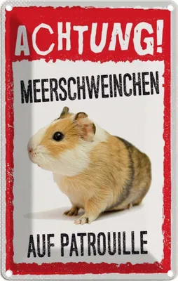 Produktbild von vianmo Blechschild 30x20 cm Achtung Meerschweinchen Patrouille Warnschild Hinweisschild Tier Haustier Sicherheit Vorsicht
