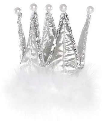 Produktbild von Königinnenkrone silber