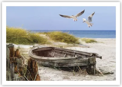 Produktbild von Poster - Poster ohne Rahmen - Strand Möwen £ódŸ - 100x70 cm - Wand Bild - Wanddeko - Wandbilder - Kunstposter - Wandposter - Bilder - Kunstdruck - Wanddekoration - Wandbild - P2XAA100x70-4170