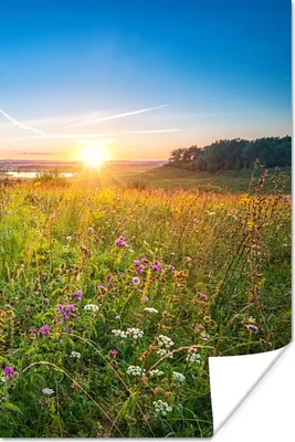 Produktbild von MuchoWow® Poster Sonne - Gras - Blumen 120x180 cm - Kunstposter